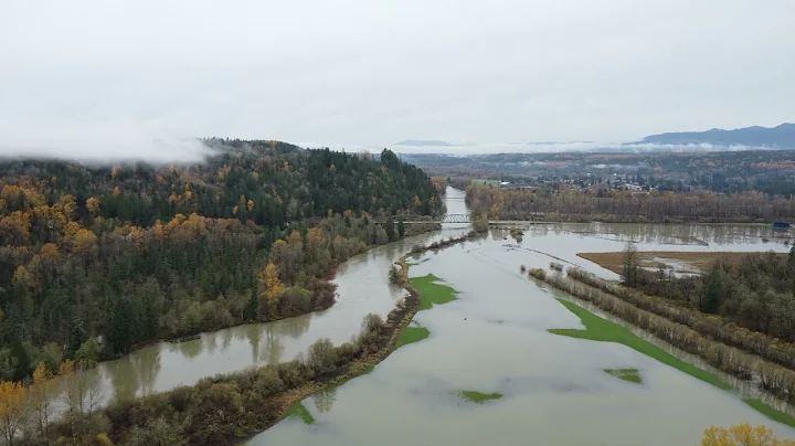 Flooding Near Tolt Hill Rd