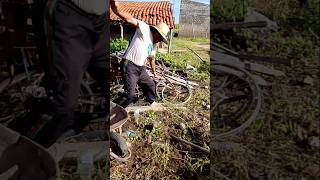 O VELHO DO TIK TOK O NOVO ASTRO E A COBRA DE CAÇOTE