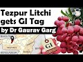 Tezpur Litchi gets GI Tag - Why this Litchi is so special & know about Litchi cultivation in India #