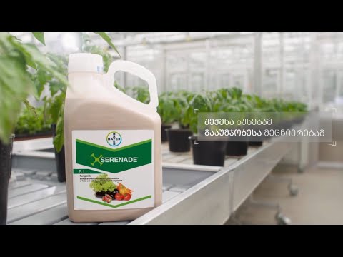 სერენადე ასო - შექმნა ბუნებამ, გააუმჯობესა მეცნიერებამ!