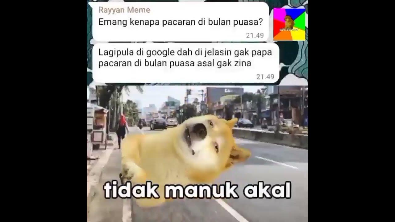 samngat tidak manuk akal #meme - YouTube