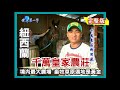 【紐西蘭】只由 7 人管理的千萬皇家牧場（百萬名駒馬廄／愛哥頓牧羊犬、剃羊毛秀／精釀葡萄酒／陶波高空彈跳）｜《世界第一等》50集小馬完整版