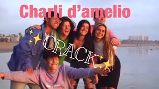 Charli Damelio Crack