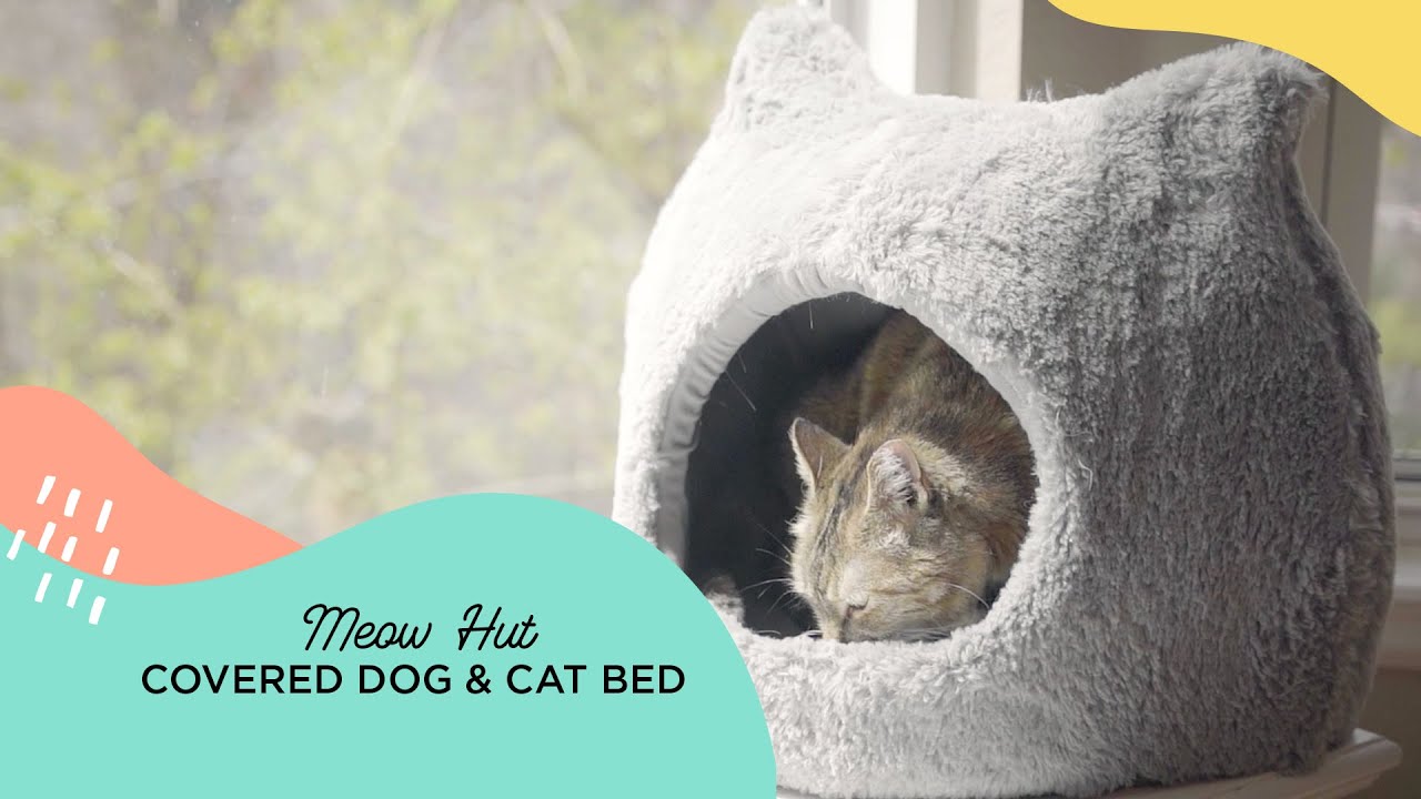Best Friends by Sheri Meow Hut in Fur 