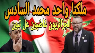 ثورة الجزائريين على تبون بسبب ٱستقبال الجالية المغربية بالورود !؟!؟