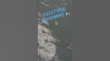 fuzzy dice #fun #fyp #fishing #awesome #youtube #viralshort #viralvideo #usa #awesomethings #bass