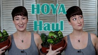 Hoya Confessions... Plus a Bonus WISHLIST PLANT! | DreamsofHoya