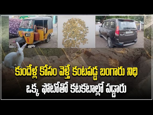 Nellore Gold Coins Treasure | 450 Vijayanagara Gold Coins Found | Samayam Telugu class=