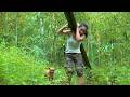 Solo Bushcraft in the Rainy Season — Surviving a Night in a Shelter During Heavy Storm
