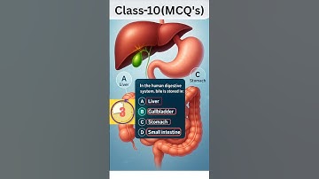 "🔥 Most Important MCQs Life Processes | Class 10 Science Shorts #lifeprocesses #class10science #mcq