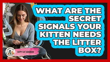 What Are The Secret Signals Your Kitten Needs The Litter Box? - Happy Cat Handbook