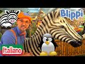 Blippi alla scoperta degli animali della giungla | Blippi in Italiano | Video educativi per bambini