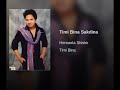 Timi Bina Sakdina Mp3 Song