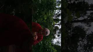 Download Mp3 PROSES PENGURUGAN PEMBANGUNAN JALAN KP. PASIR CARINGIN DESA CISARUA KEC.SAMARANG-GARUT Gudang lagu Download Mp3 PROSES PENGURUGAN PEMBANGUNAN JALAN KP. PASIR CARINGIN DESA CISARUA KEC.SAMARANG-GARUT