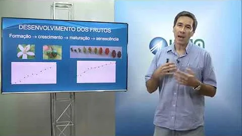 Quais os critérios que podem ser usados para determinar o ponto de colheita das hortaliças?