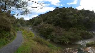 Hot Stream Near Frying Pan Lake, Waimangu, New Zealand