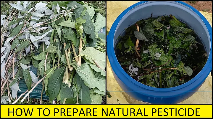 Make Your Own SAFE Homemade Insecticide Spray in Minutes