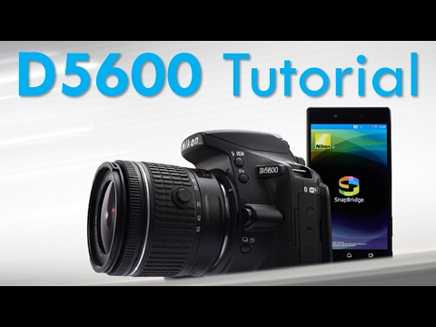 Βίντεο: Είναι η Nikon d5600 καλή για τοπίο;
