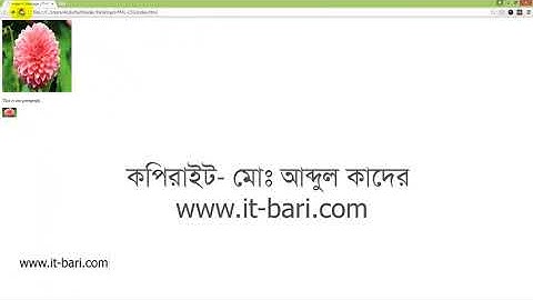 14  Image Path or Location IT Bari com