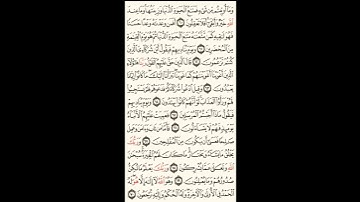 سورة القصص الصحيفة رقم 393 بصوت المقرئ فضيلة الشيخ د.أحمد عبد الرحمن الخجا الدمشقي الشافعي