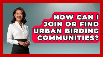 How Can I Join or Find Urban Birding Communities? | Bird Watching Diaries