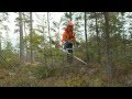 Varför du ska jobba inom skogsbruket - Svensk Skogsservice