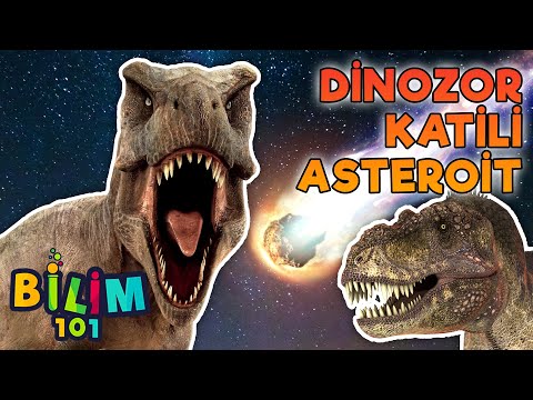 Video: Dinozorların Nesli Nasıl Tükendi