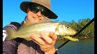 BIG whiting on poppers