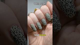 Polar Bears For Day 23