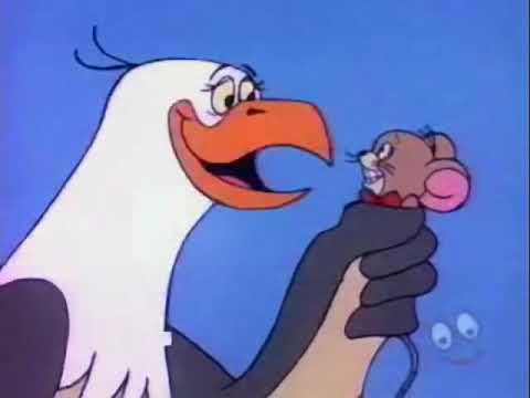 Tom & Jerry Episode 185 The Egg Of Tom & Jerry (1975)