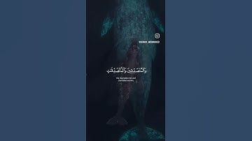 سوره الاحزاب - إن المؤمنين و المؤمنات - تلاوه نادره #راحة_نفسية #قرآن #تلاوة_خاشعة #قران_كريم #قران