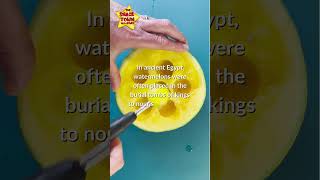 #watermelon #melon #fruits #foodfacts #asmr #didyouknow