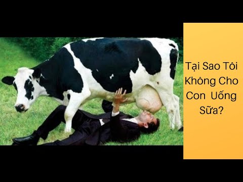 Video: Có Nên Cho Trẻ Uống Sữa Bò Không