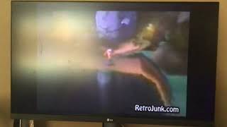 IMG 0233