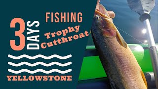 Catching Trophy Cutthroat Trout In Yellowstone Lake - Yellowstone National Park, Wyoming