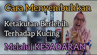 Cara Menyembuhkan Fobia Kucing  dan Hewan Berbulu Senam Bawah Sadar