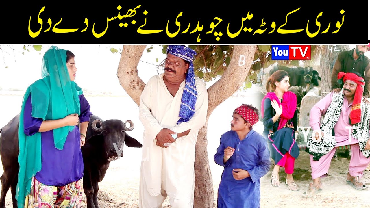 Wada Number Daar kirlo Noori Bhola Mukho Kirli New Funny Video Noori K Vitay Me Bhans | You Tv 2022