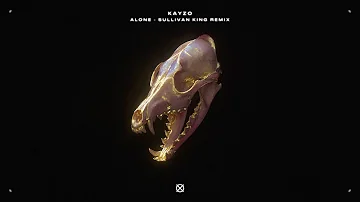 Kayzo Our Last Night Alone ریمیکس سالیوان کینگ ویدئو هنری جلد موسیقی فوق العاده 