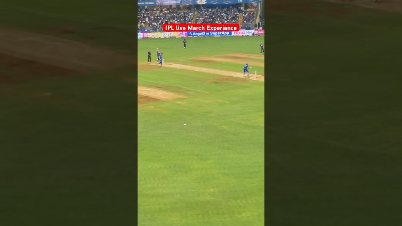 IPL live match Experince 