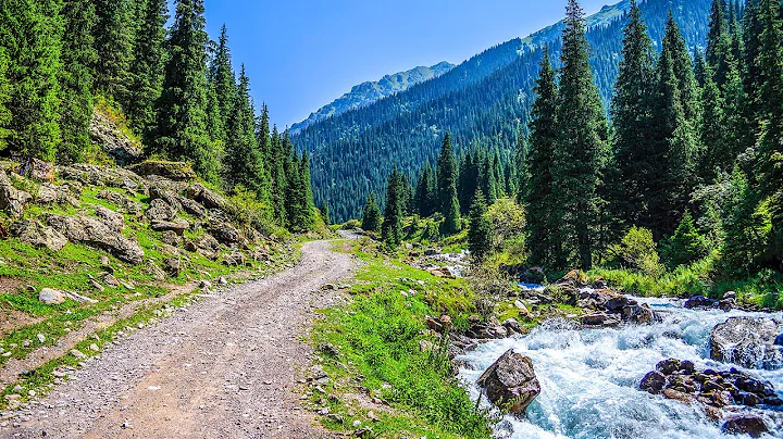 Relaxing Music with Birds Singing - Beautiful Piano Music & Guitar Music by Soothing Relaxation