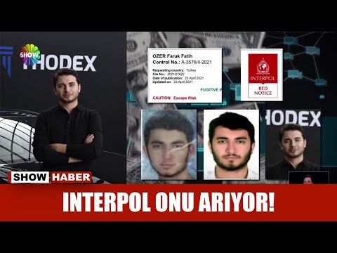 Video: Interpol Neden Assange'ı Arıyor?