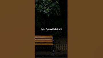 القارئ : أشرف إمام