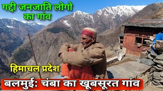 Balmui A Beautiful Village Of Gaddis Tribe | Chamba,Himachal Pradesh | Rural Village Lifestyle Vlog