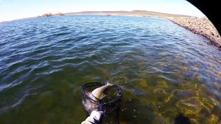 Duck Valley Fly fishing pt2