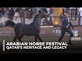 Arabian Horse Festival In Doha Showcases Qatar S Heritage Culture And Elite Competitions