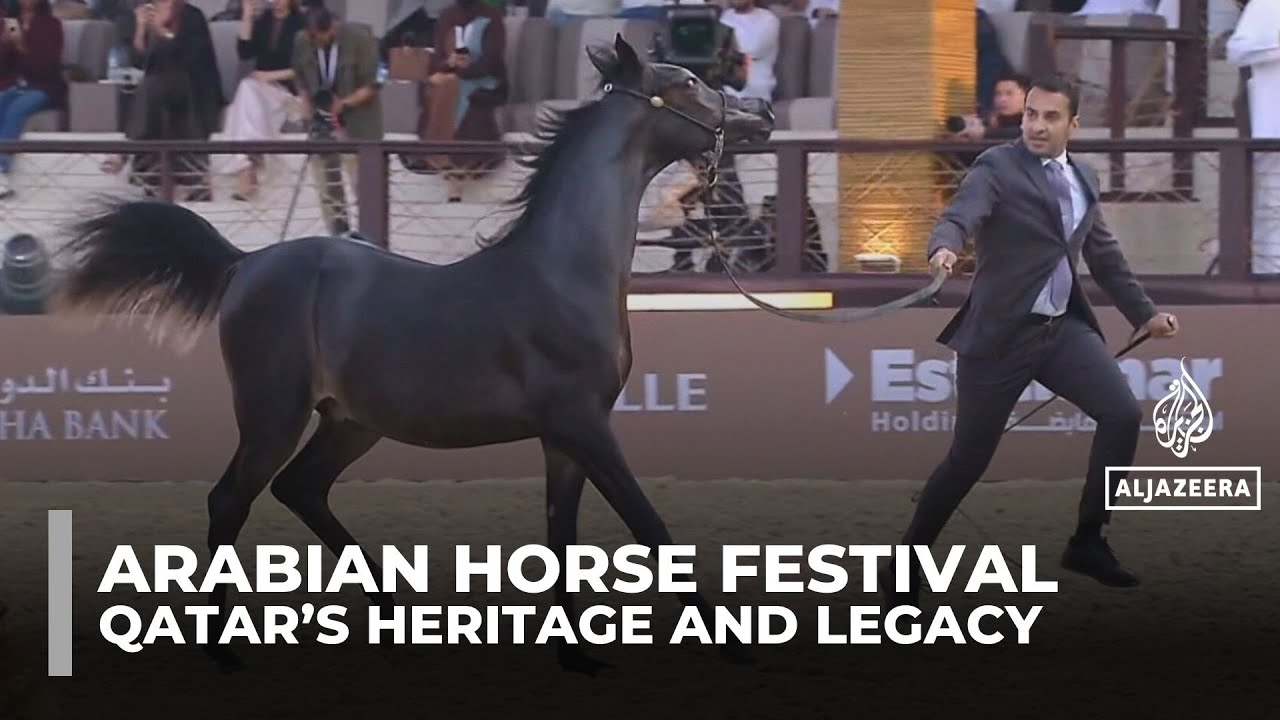 Arabian Horse Festival in Doha showcases Qatar’s heritage, culture and elite competitions