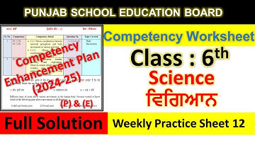 pseb competency based paper class 6th science worksheet 12 test 2024