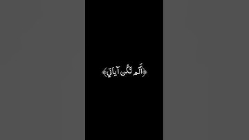 ﴿أَلَم تَكُن آياتي تُتلى عَلَيكُم فَكُنتُم بِها تُكَذِّبونَ﴾ سورة المؤمنون| إسلام صبحي