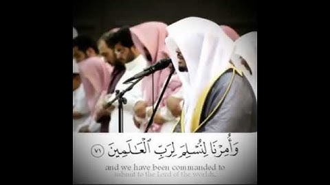 ياسر الدوسري |تلاوة تريح القلوب   🌸❤ حالات واتس اب قرآن 💭💙