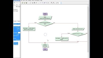 CPT 114 beginning nested decisions hand raising problem